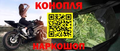 Альфа ПВП Славянск-на-Кубани